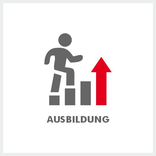 Ausbildung bei Max Steier, Elmshorn