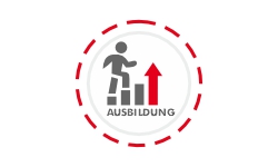 Grafik Steier Ausbildung